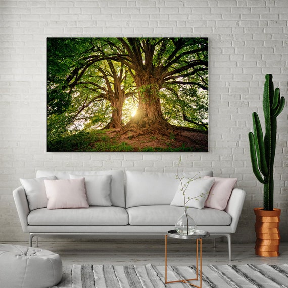 Canvas Art Canvas Wall Art Trees Canvas Forest Canvas Prints Etsy