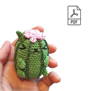 Schema all'uncinetto per cactus Cactus Cat