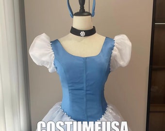 Princess Cinderella Dress Cinderella Dress Satin Woman Girls Cosplay Costume