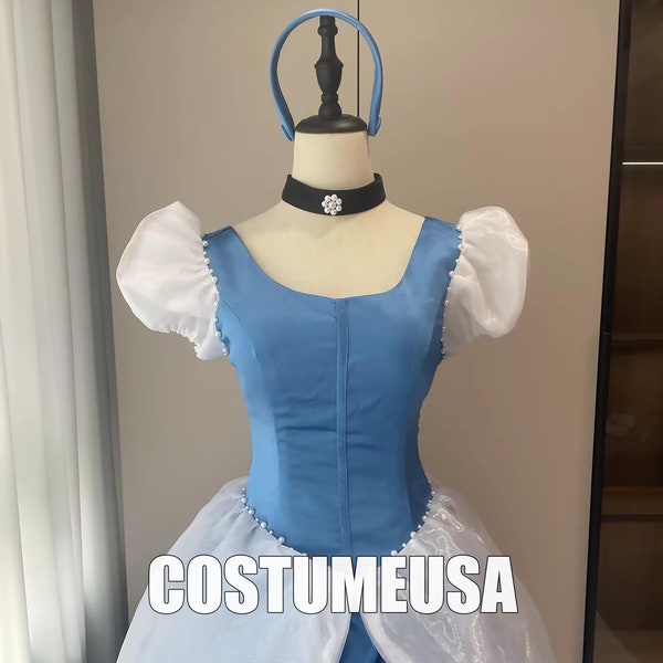 Princess Cinderella Dress Cinderella Dress Satin Woman Girls Cosplay Costume