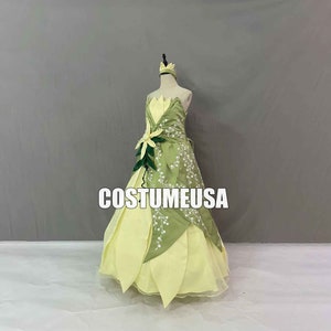 Princess Tiana Dress Princess and The Frog Tiana Cosplay Costume Green Adult Woman Girls Embroidery flowers