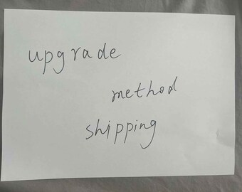 Upgrade Shipping method Bustle for Cosplay Costume