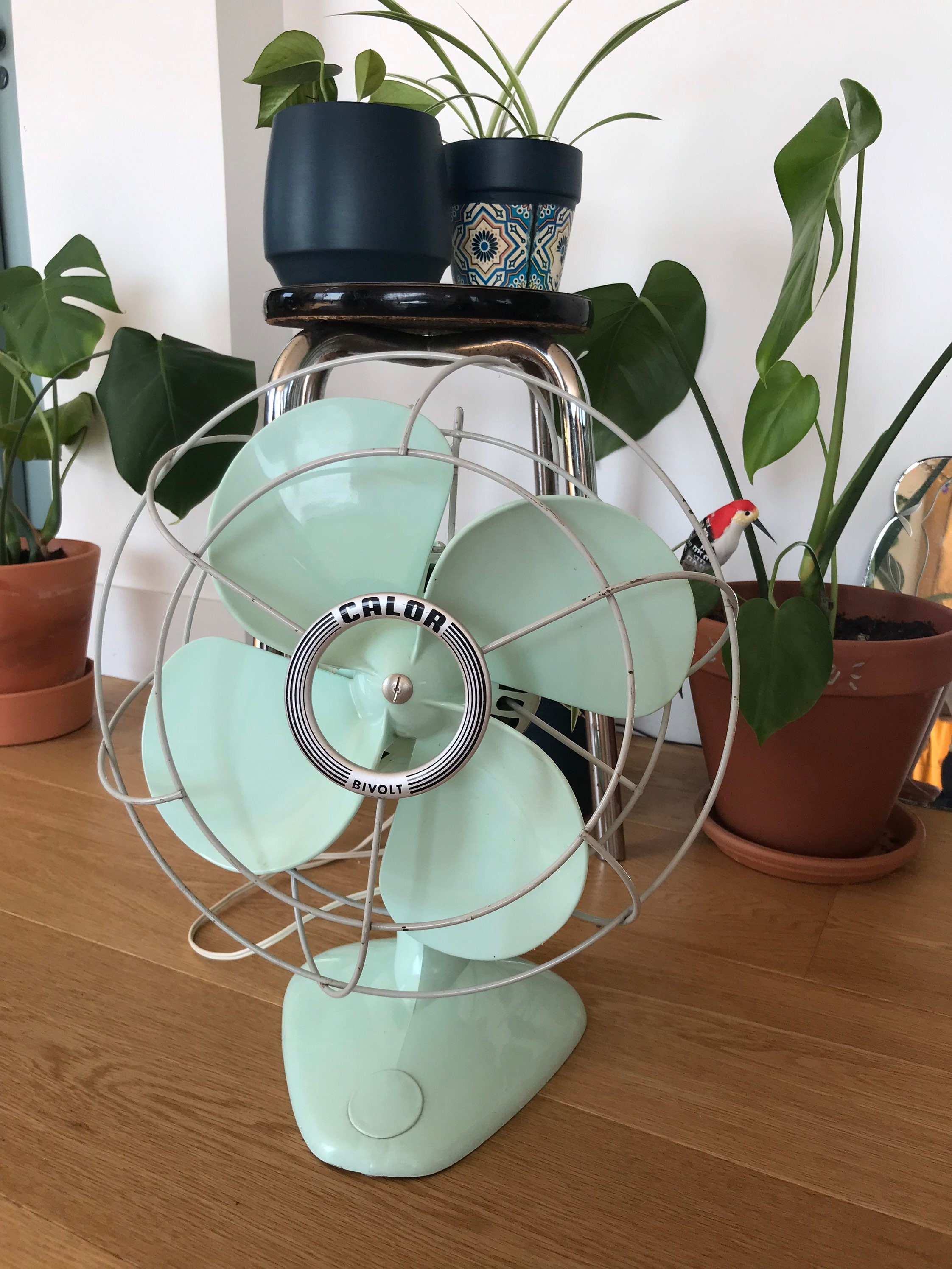 Ventilateur Calor Mint 1970