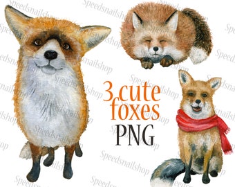 Original Watercolor Fox PNG Instant Download Sublimation - Etsy