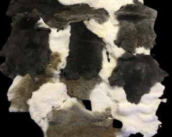 Rabbit pelt ~ Rabbit skin ~ Fur pelt ~ Fur craft ~ Grades  ~ Oddity ~ Gifts ~ Taxidermy Australia ~