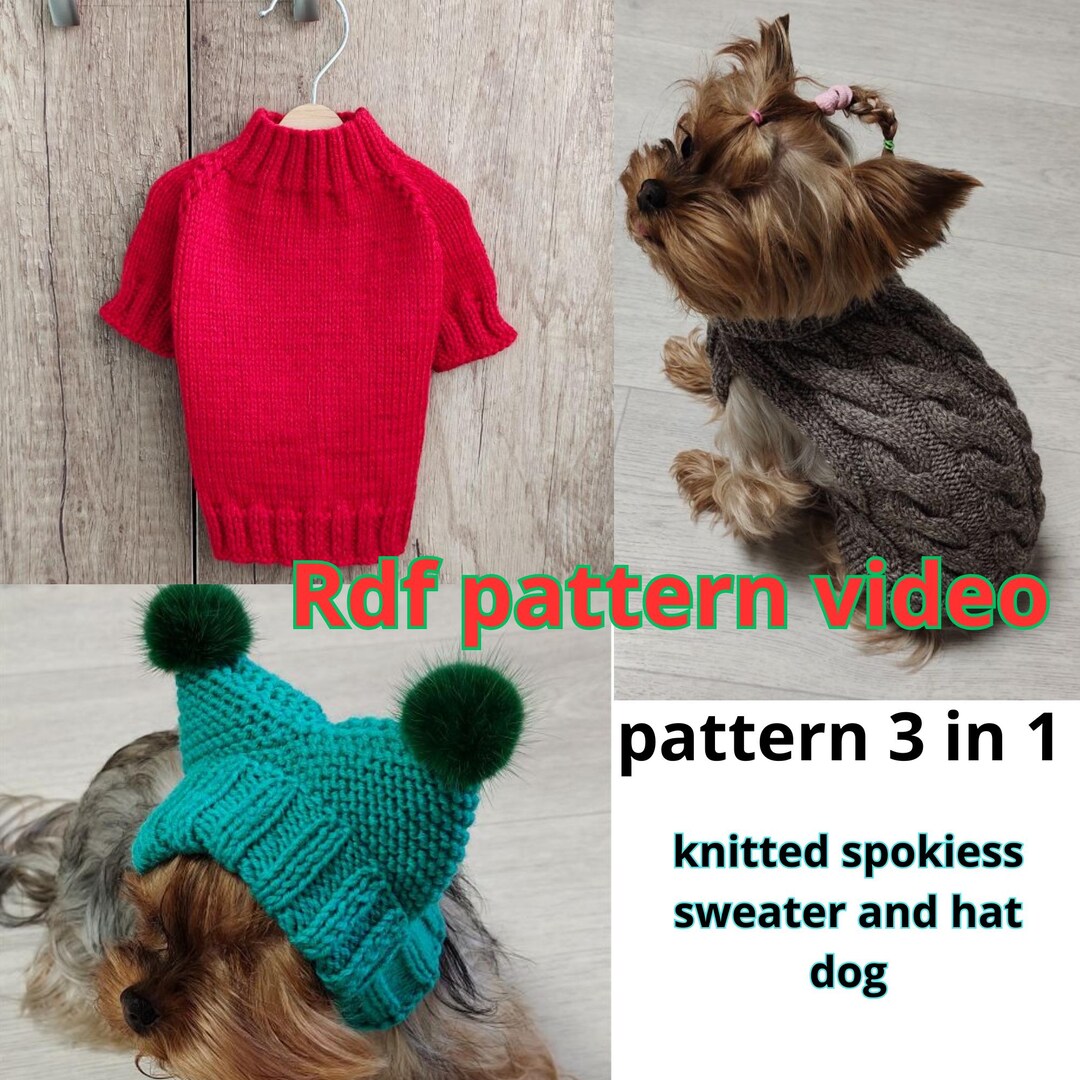 Sitemapcdatahttpwwwmixel Thicoipeinfomodele Tricot Chien Facilenull