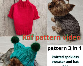 Knitted pattern spokiess sweater and hat dog, RDF pattern video puppy sweater, Dog hat with ear cover