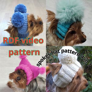 May include: Four different knitted dog hats in blue, teal, pink, and white. Each hat has a pom-pom on top. The hats are shown on a Yorkshire Terrier dog. The image includes the text "RDF video pattern spokes hat pattern 4 in 1".