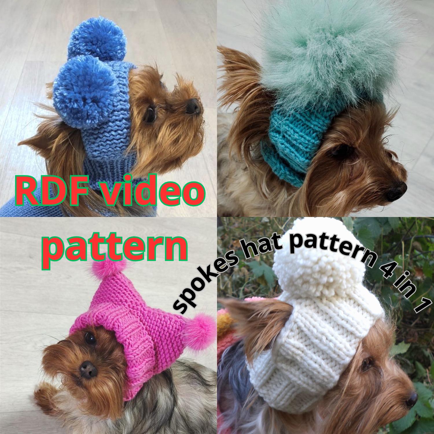 Pattern dog small hat with ear cover, Knit pattern dog hat with a pompom, Little dog hat, Wool dog hat pattern