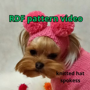 May include: A small dog wearing a pink knitted hat with two pom-poms and a matching sweater. The text "RDF pattern video" is displayed in green above the dog's head, and "knitted hat spokess" is below.