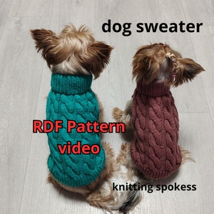 May include: Two small dogs wearing knitted sweaters. The dog on the left is wearing a teal sweater and the dog on the right is wearing a maroon sweater. The text "RDF Pattern video" is in the center of the image.