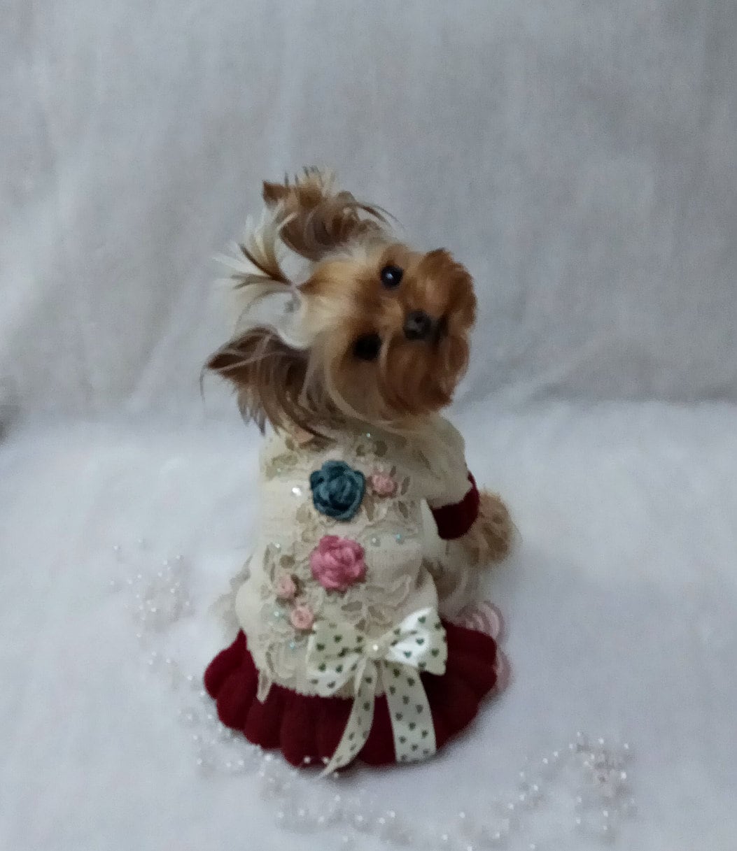 Knitting Dress Dog Pattern , Sewing Pattern PDF, Knit Dog Sweater Pattern, Knit Dog Clothes