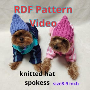 Op de afbeelding: Twee honden met gebreide mutsen en bijpassende outfits. Eén hond draagt een blauwe muts en een marineblauw outfit met turquoise accenten. De andere draagt een roze muts en een roze outfit met witte strepen. De tekst zegt "RDF Pattern Video", "knitted hat", "spokess", en "size8-9 inch" (20-23 cm).