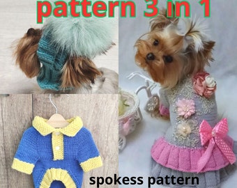 Dress, sweater and hat for small dogs - 3 in 1 knitting pattern - Dog dress pattern - Hat dog pattern - Sweater dog pattern -English Pattern