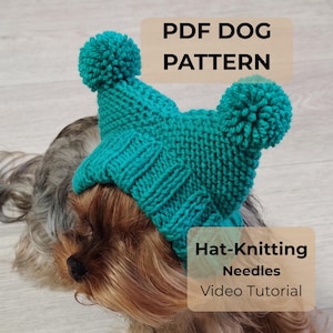 Peut inclure: Un bonnet tricoté bleu sarcelle avec deux gros pompons sur le dessus, porté par un petit chien. L'image contient le texte PDF DOG PATTERN et Hat-Knitting Needles Video Tutorial. Le bonnet présente un bord côtelé et une texture en maille.