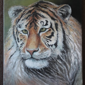 Tiger. Oil painting. Original