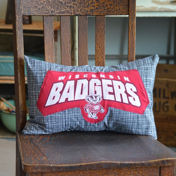 Upcycled T-Shirt Pillow - Wisconsin Badgers - UW-Madison Badgers - Bucky Badger - 748