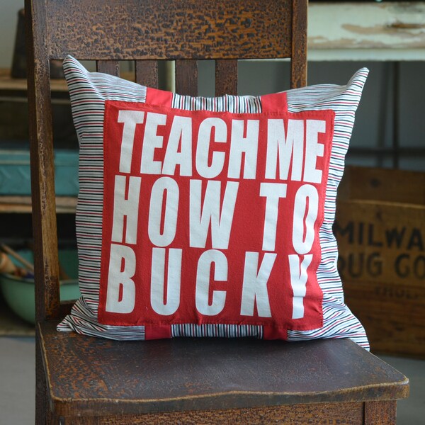Upcycled T-Shirt Pillow - Teach Me How to Bucky - Wisconsin Badgers - 757