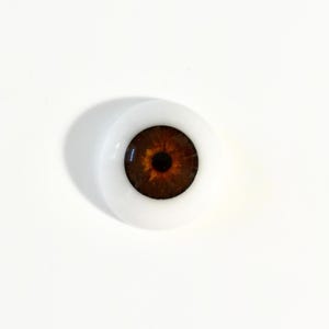 Handmade 18-22mm Half Round Resin Eyes for Reborn Dolls, Realistic Iris, Life Like Eyes, Brown 02