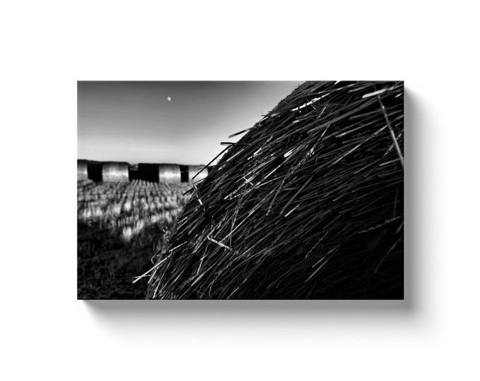Hay Roll (Solid Face Canvas With Solid Backing)