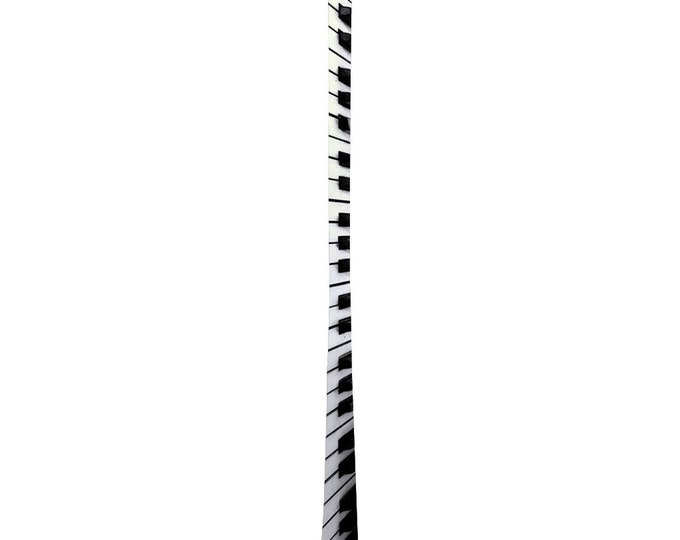 Piano Key Tie