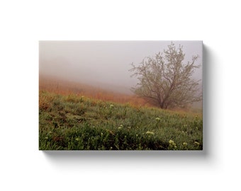 Morning Fog (Solid Face Canvas With Solid Backing)