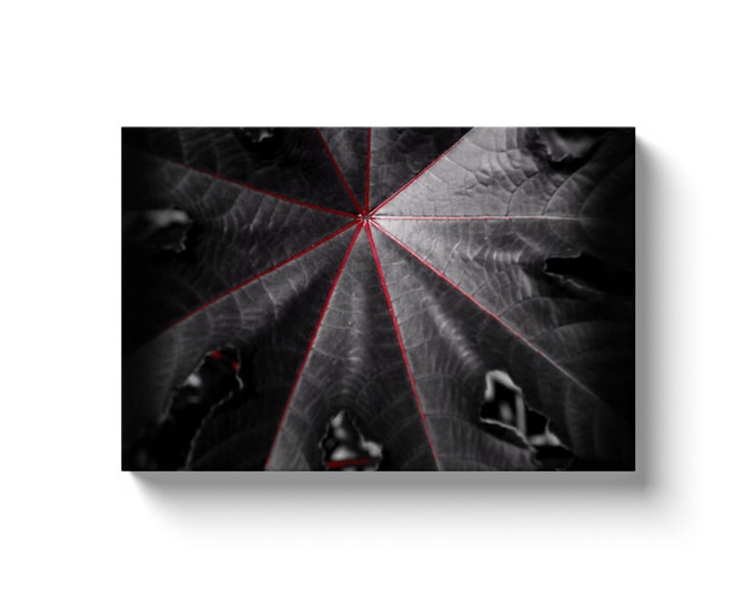 Abstract Leaf (Solid Face Canvas With Solid Backing)