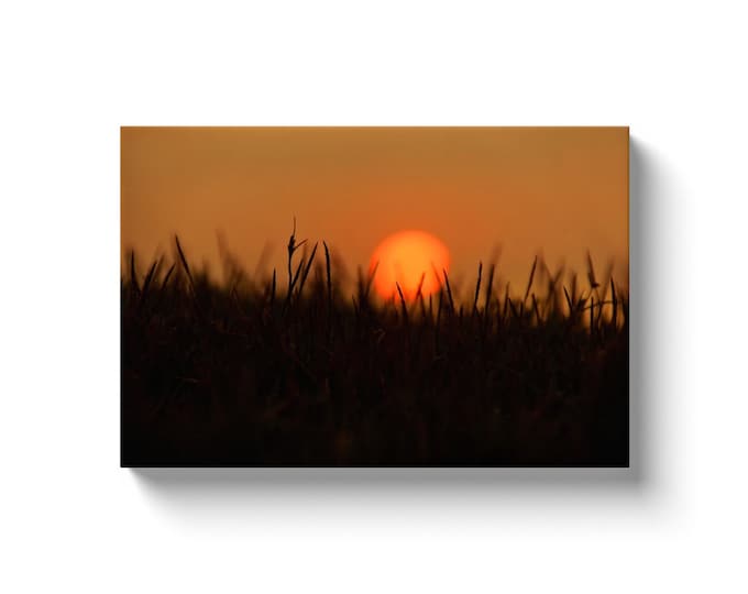 Praise The Day (Solid Face Canvas With Solid Backing)