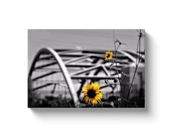 Flowers At Speer Bridge Denver, Co (Solid Face Canvas With Solid Backing)