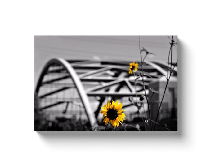 Flowers At Speer Bridge Denver, Co (Solid Face Canvas With Solid Backing)