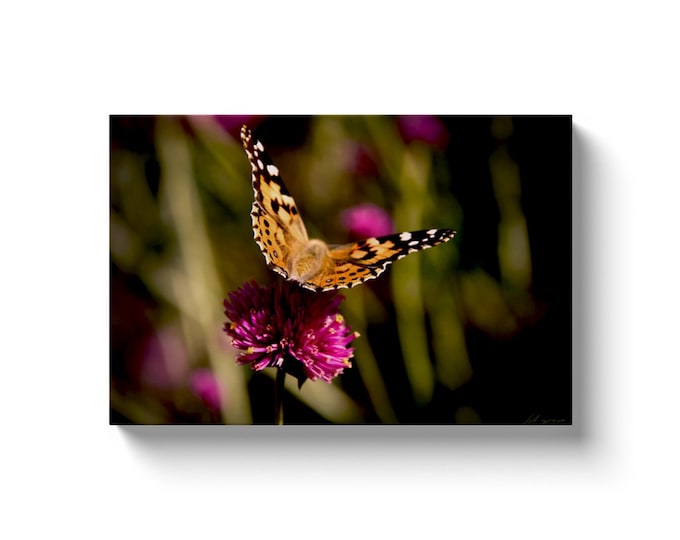 Monarch (Solid Face Canvas With Solid Backing)