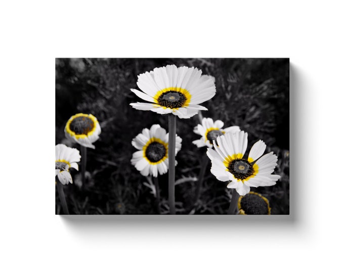 White Floral (Solid Face Canvas With Solid Backing)