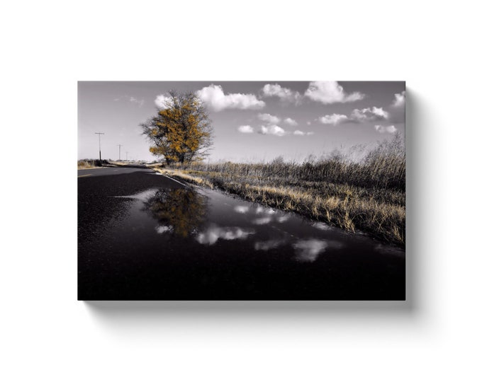 Fall Puddle (On Solid Face Canvas With Solid Backing)