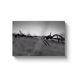 Barbwire (Solid Face Canvas With Solid Backing)