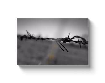 Barbwire (Solid Face Canvas With Solid Backing)