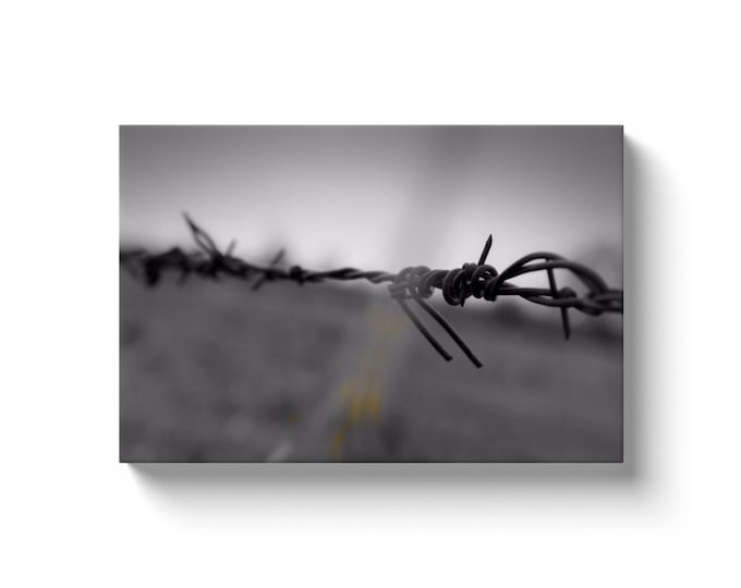 Barbwire (Solid Face Canvas With Solid Backing)