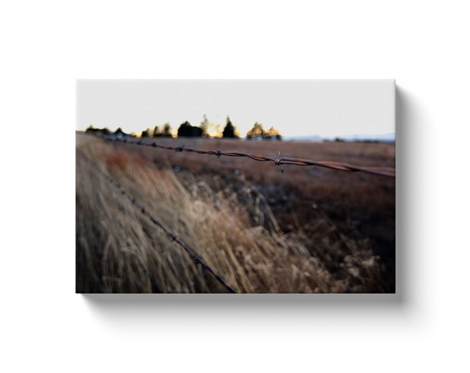 Cr31 Barbed Wire (Solid Face Canvas With Solid Backing)