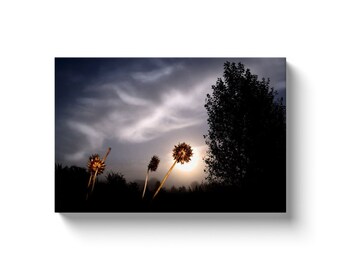 Rise And Shine (Solid Face Canvas With Solid Backing)
