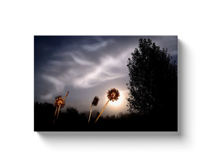 Rise And Shine (Solid Face Canvas With Solid Backing)