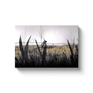 Before The Rain (Solid Face Canvas With Solid Backing)