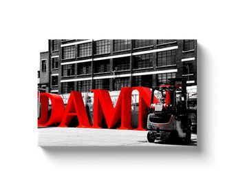 Damn (Solid Front Canvas With Solid Backing)