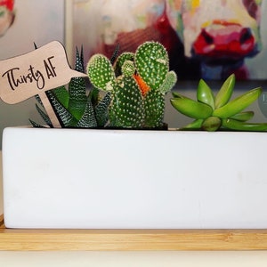 Funny Houseplant Stakes | Plant Stakes | House plant gift