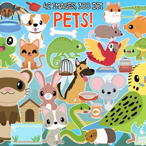 Pets clipart, Instant Download Art, Cat, Dog, Fish, Lizard, Ferret, Bird, Budgie, Rat, Mouse, Chameleon, Tortoise, Guinea pig, Fish