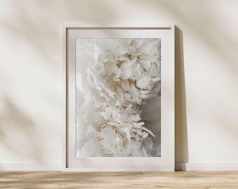 White Peony Print, Minimal Floral Wall Art, Botanical Photography – Flora Lumen