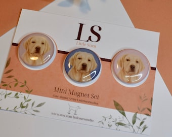 dog lover gift cute dog refrig decor dog lover magnets dog birthday gift 608 gift dog lover refrig decor dog refrig decor dog magnets