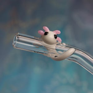 Axolotl Glas Trinkhalm mit Tragetasche + Reinigungsbürste