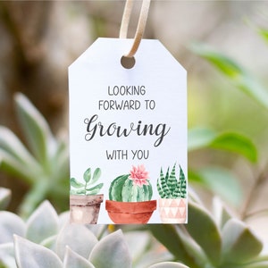 Étiquette de faveur succulente, Au plaisir de grandir avec vous, Étiquette d'appréciation des enseignants, Cadeaux de fin d'année scolaire, Téléchargement instantané, Numérique