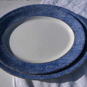 Antique Meat Plate Tableware, Antique Serving Platter, Antique Transferware