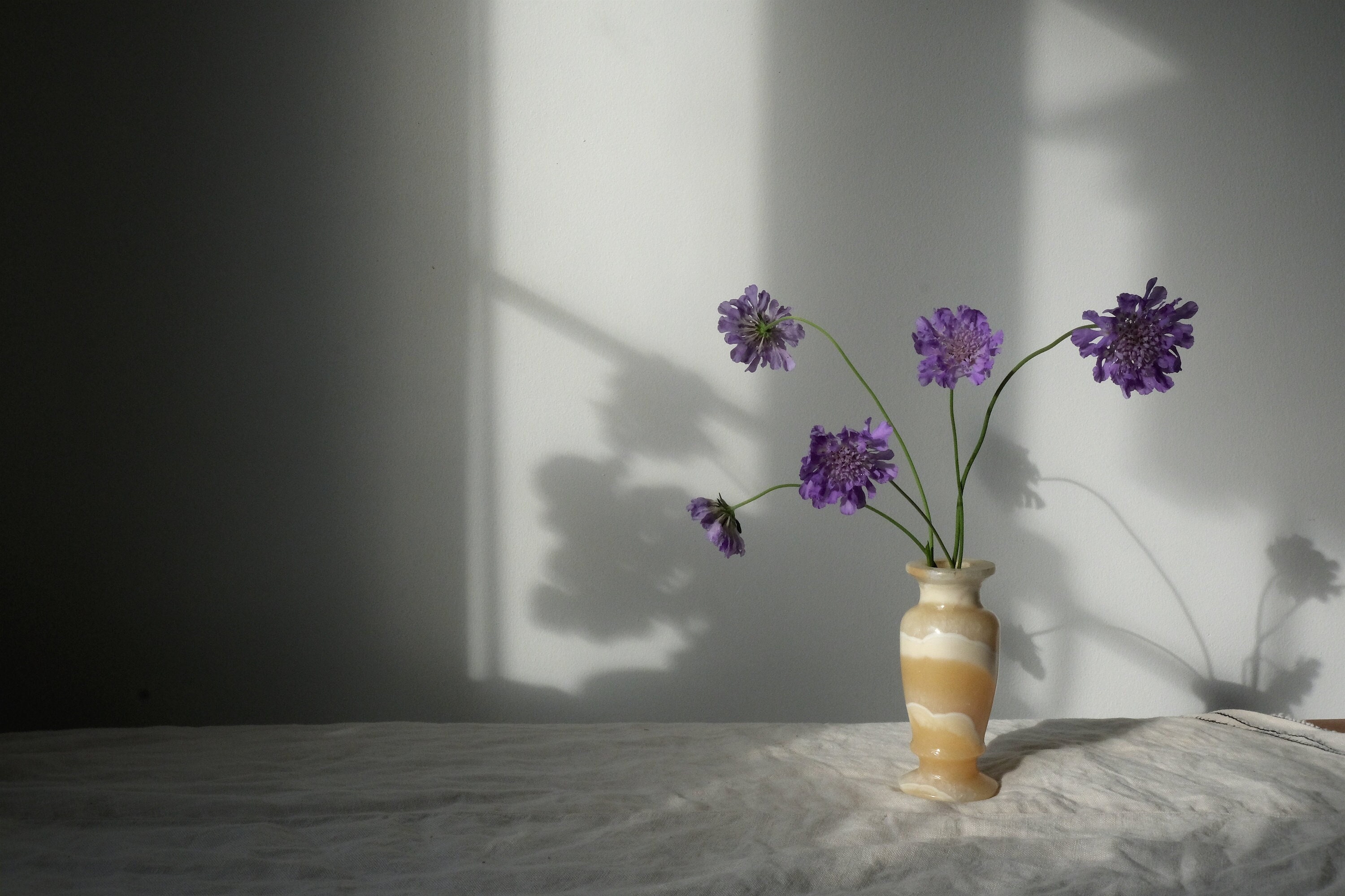 ヴィンテージ ハニーオニキス花瓶：アラバスター製の花瓶 - Etsy 日本