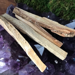 May include: Four light-colored Palo Santo sticks rest on a bed of purple amethyst crystals. The sticks have a rough, textured surface and a light brown color. The amethyst crystals are a deep purple color and have a crystalline structure. Green moss is in the background.